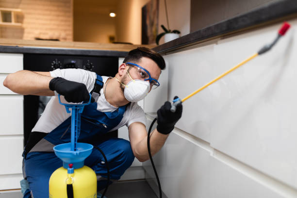 Best Pest Prevention Services  in Savoy, IL