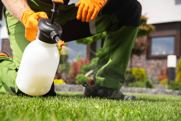 Best Termite Control Services  in Savoy, IL