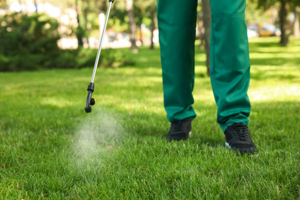 Best Emergency Pest Control  in Savoy, IL