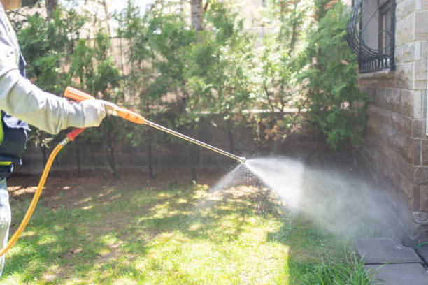 Best Affordable Pest Control Services  in Savoy, IL