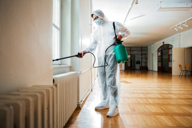 Best Residential Pest Control  in Savoy, IL