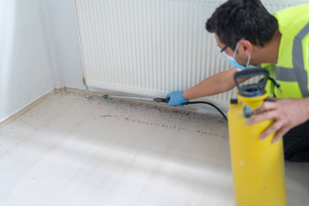 Best Affordable Pest Control Services  in Savoy, IL